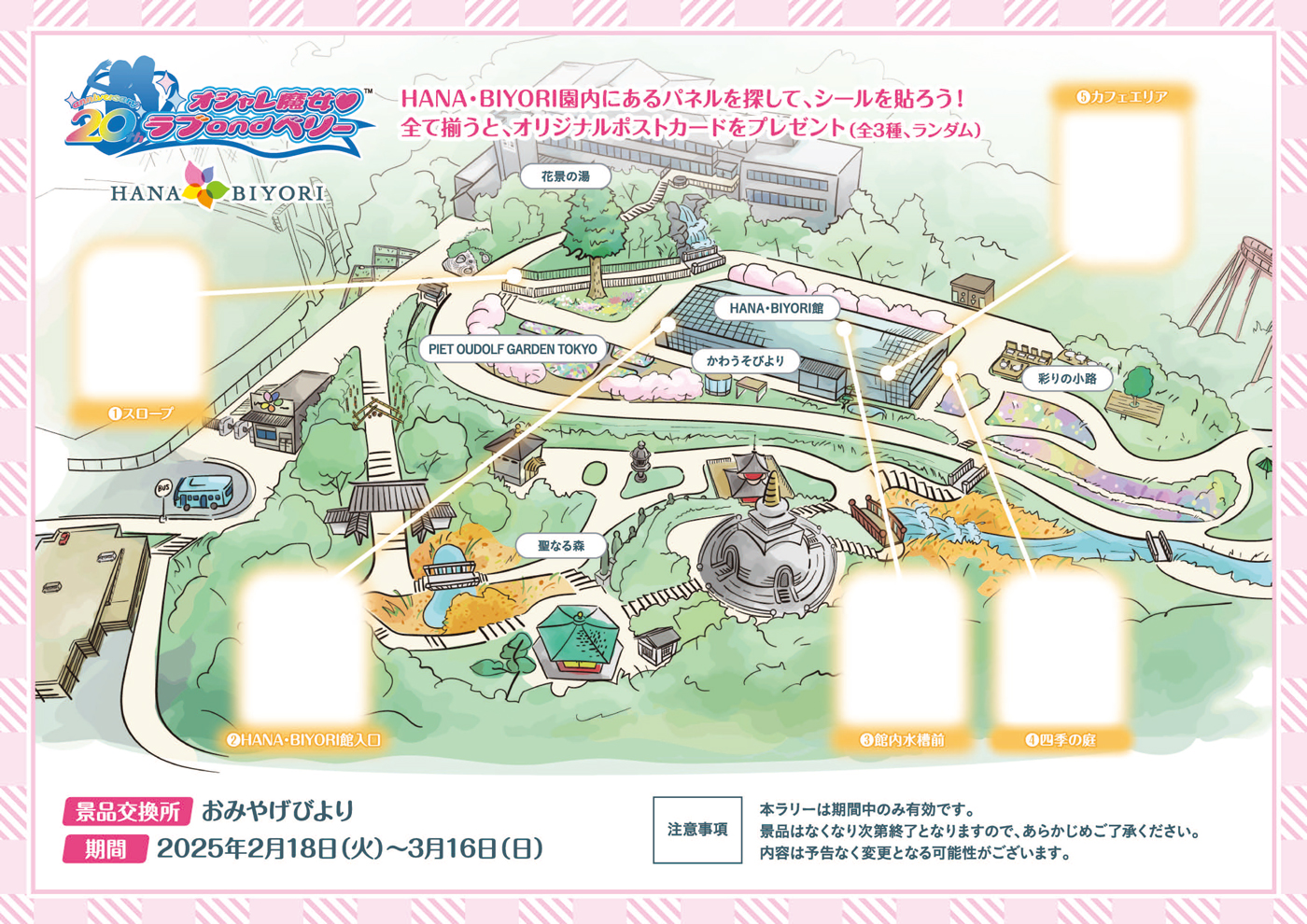 ラリー参考画像