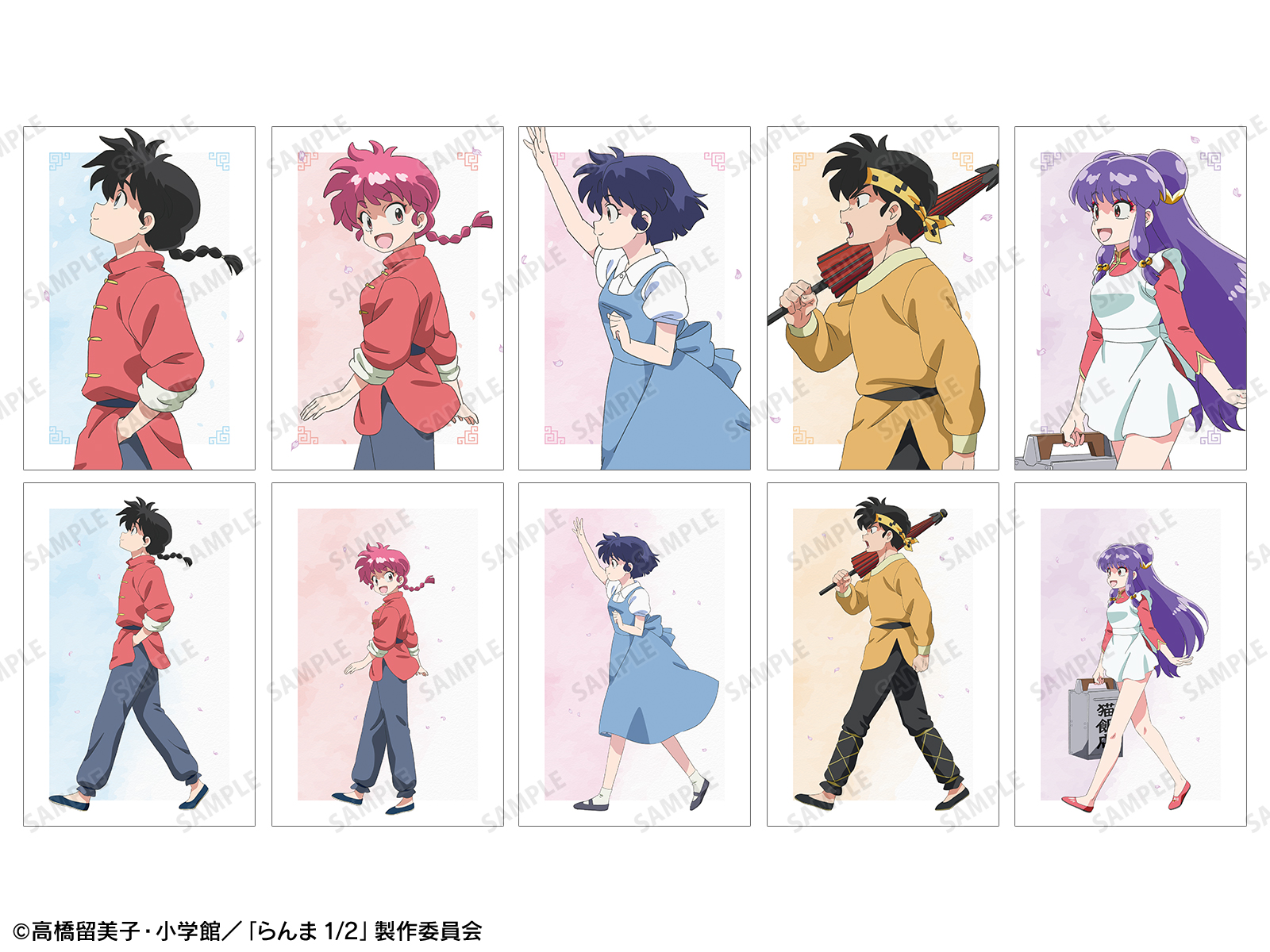 らんま 公式 当時物 ラミネートカード アニメイト カード らんま1/2 らんま 公式 当時物 ラミネートカード アニメイト カード らんま